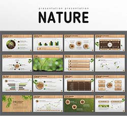 PPT模板－数据汇报(清新自然风格)：Nature